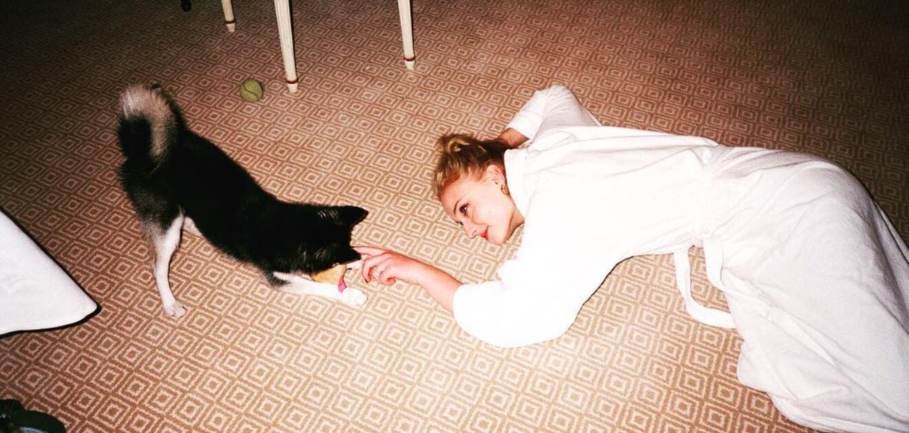 El perro de Sophie Turner y Joe Jonas murió trágicamente atropellado