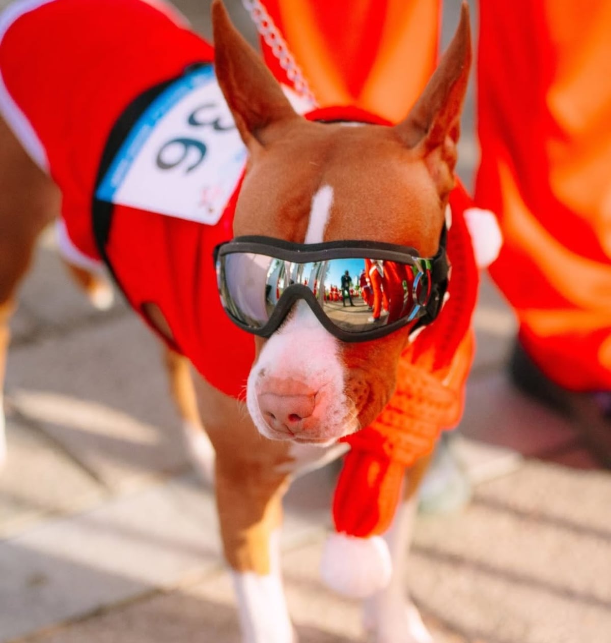 The Santa Run / Foto: Instagram @thesantarun