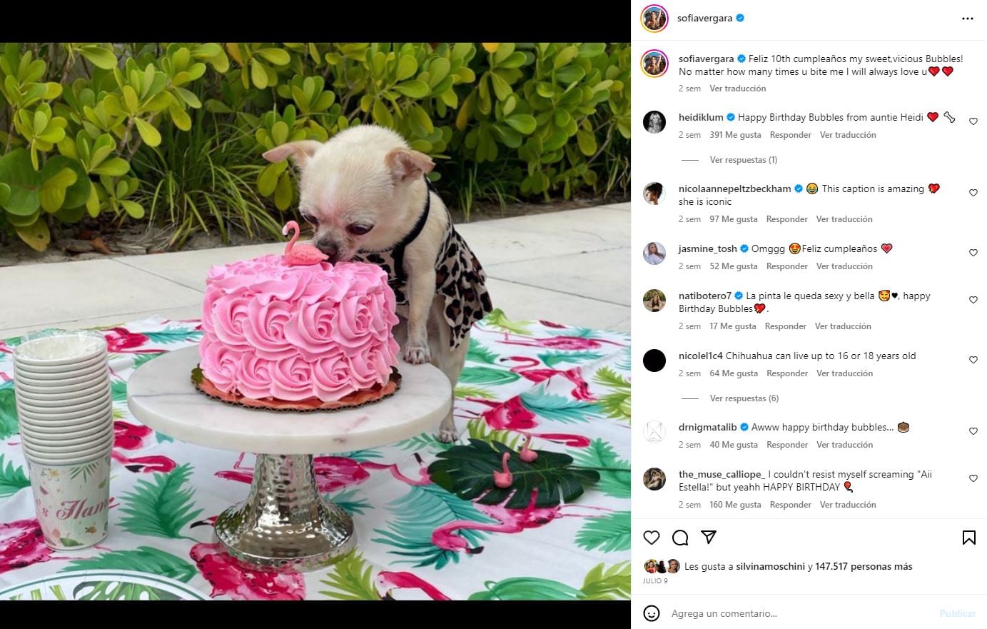 Bubbles, el perrito de Sofía Vergara y Joe Manganiello / Instagram