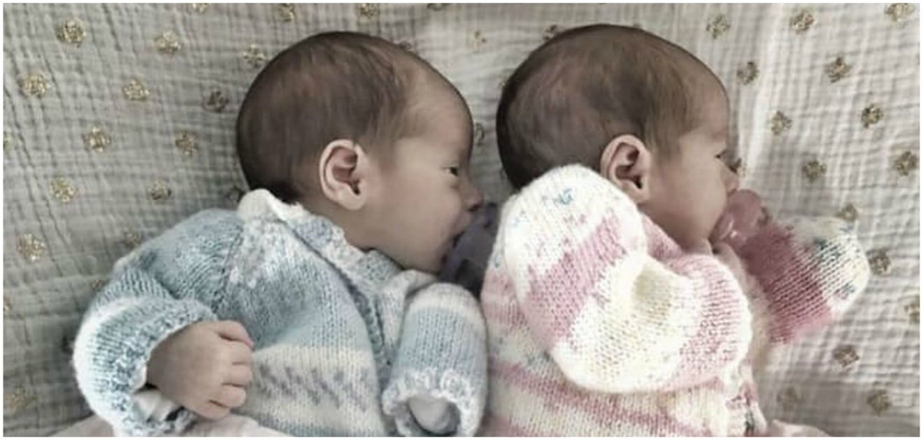 Los integrantes más jóvenes de la familia de Ludwika Paleta