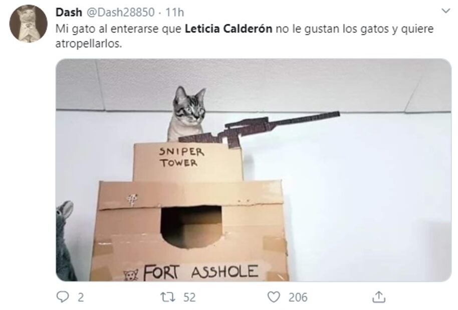 "Si veo un gato en periférico, lo atropello": Leticia Calderón y su fobia a los gatos