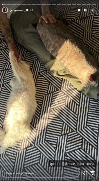 El cantante de Maneskin descansa con sus mascotas / Instagram