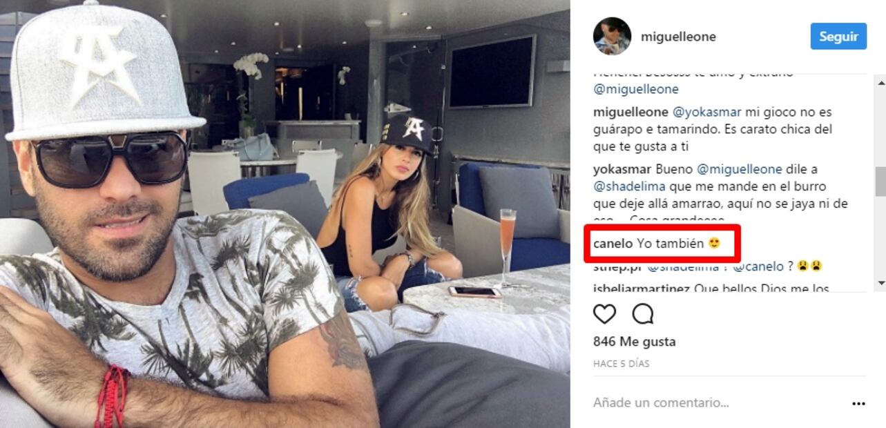 Captan muy cariñosos a Canelo Álvarez y la ex de Marc Anthony