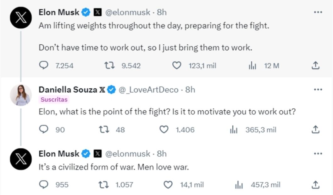 Captura de pantalla / @elonmusk
