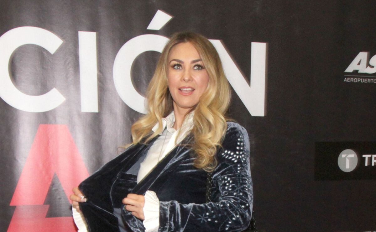 Abogado de Aracely Arámbula se pronuncia por el incidente del fin de semana