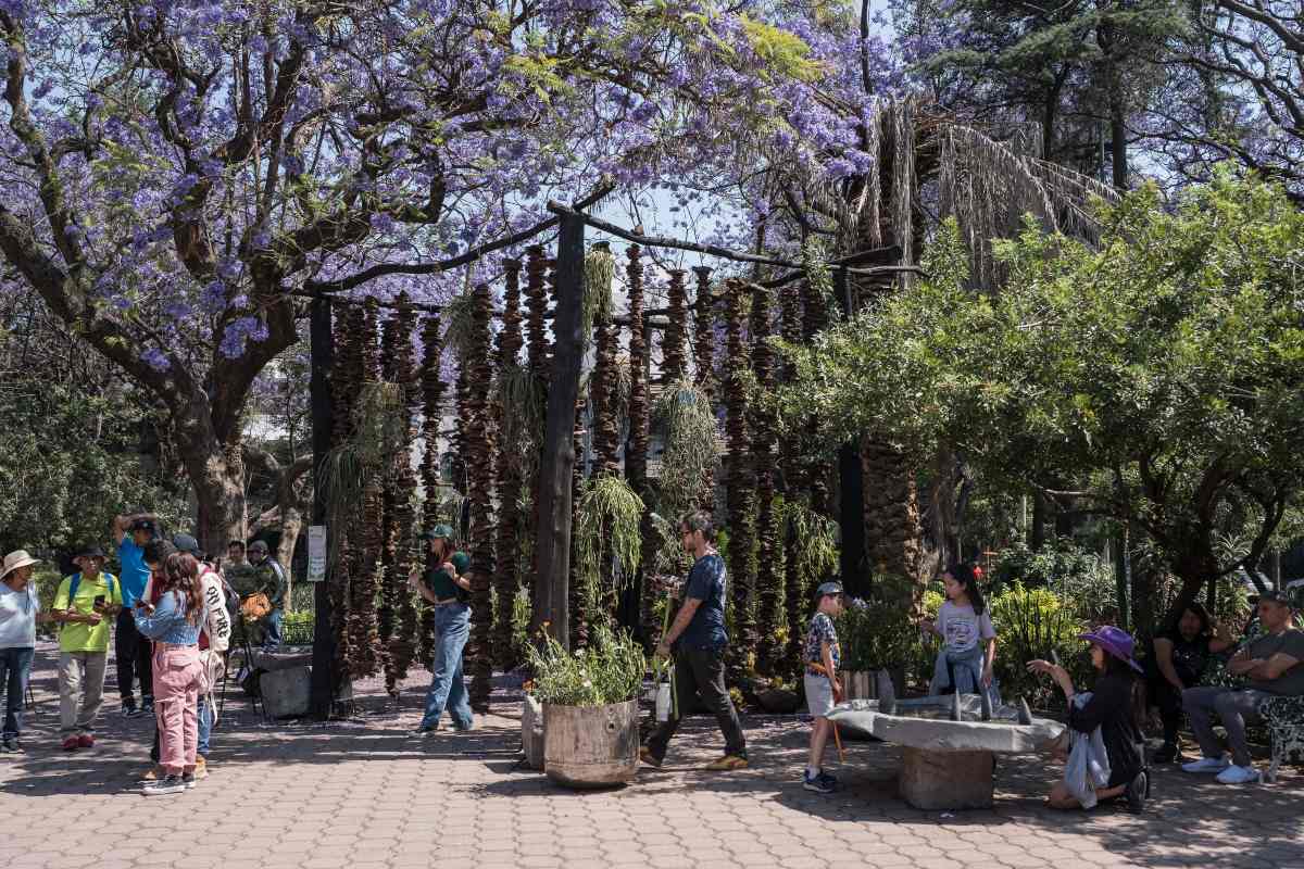 Así se vivirá el FYJA 2026 / Foto: Cortesía