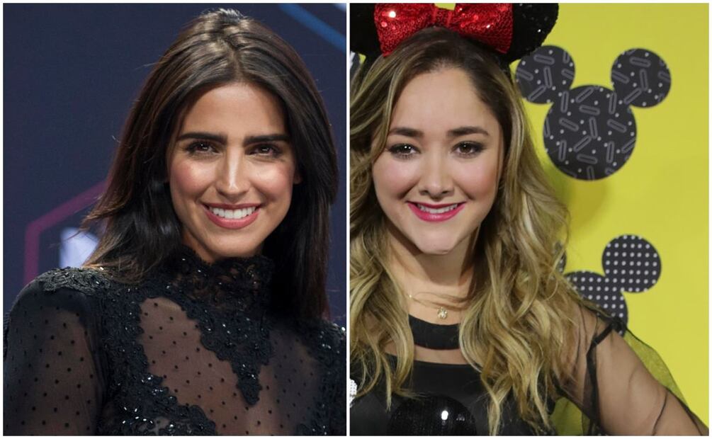 Bárbara de Regil, Sherlyn, Raúl Araiza y más que perdieron miles de seguidores por violar veda electoral