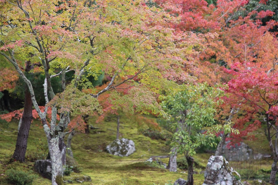 Otoño, colores, sabores y naturaleza, por Paola Prieto.