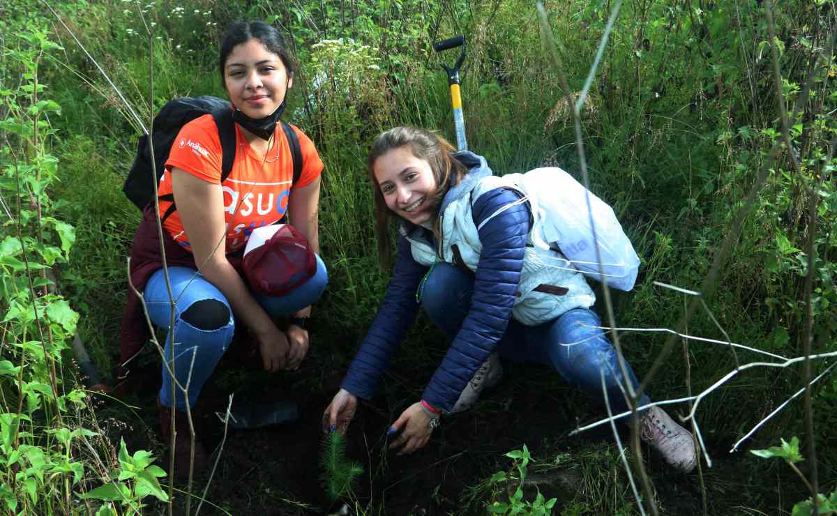 Alumnos de la Anáhuac ayudan al medio ambiente