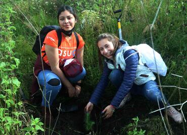 Alumnos de la Anáhuac ayudan al medio ambiente