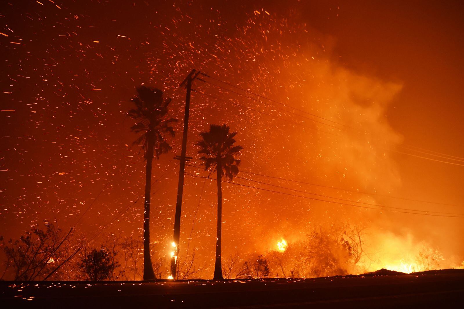 Miley Cyrus y Gerard Butler no fueron las únicas celebridades afectadas por los incendios de California