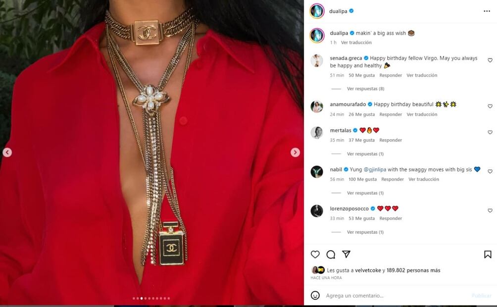 Instagram: @dualipa