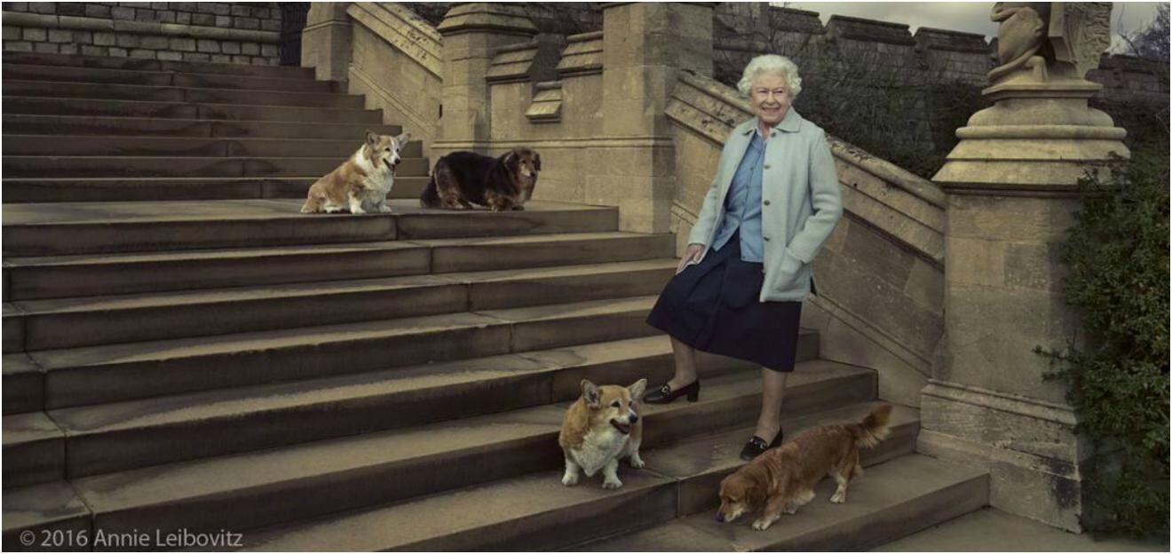 <p>'Willow', de 14 años de edad, fue sacrificada el domingo pasado (Foto: Annie Leibovitz, Intagram: @theroyalfamily)<br />
<br />
&nbsp;</p>
