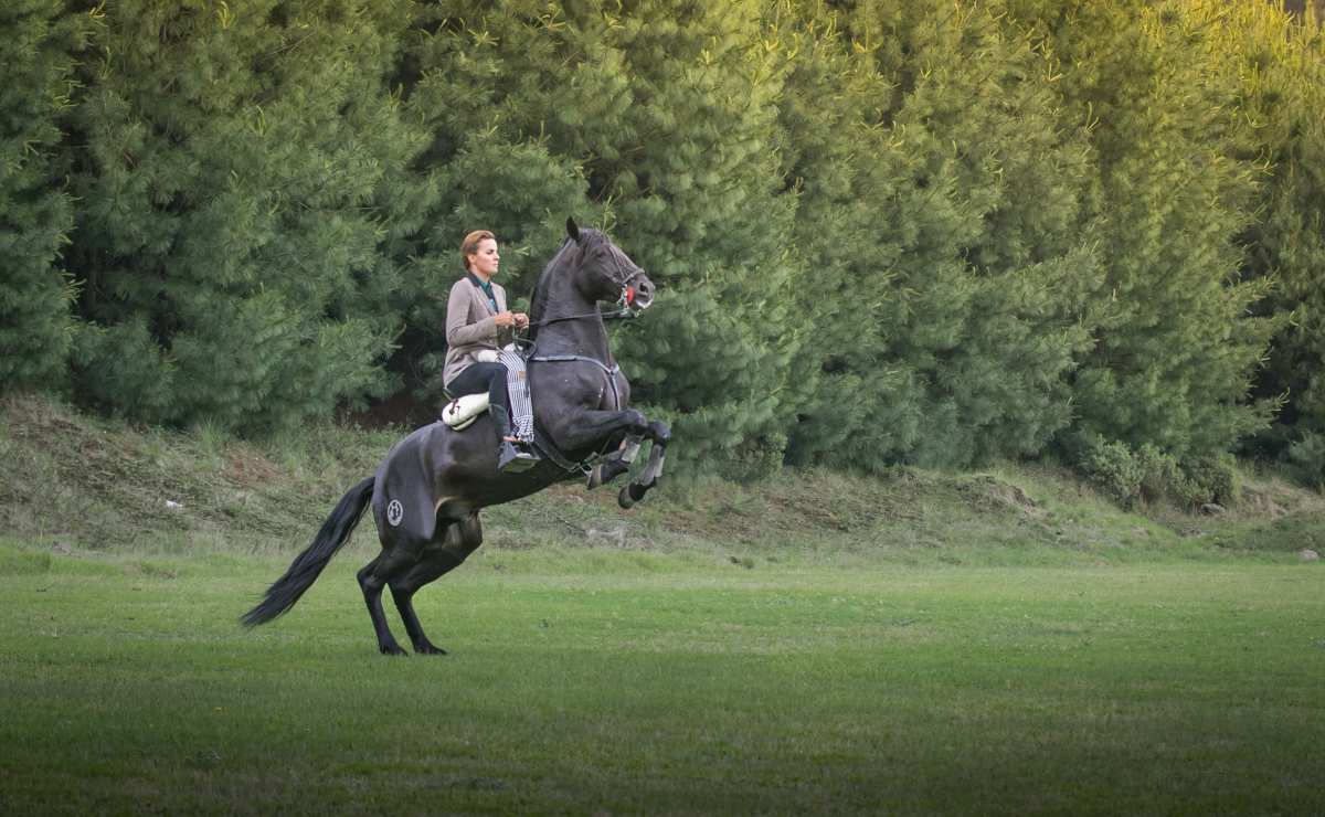 Alejandra “La Suki” Armendáriz quiere llevar el turismo ecuestre a otro nivel