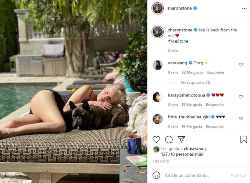 ¡Más sexy, imposible! Sharon Stone, de 63 años, presume su figura en bikini 