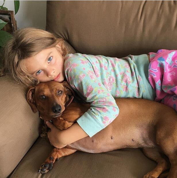 Max Villegas presenta a 'Laila', su mascota adoptada 