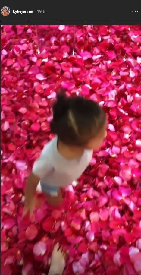 Travis Scott gastó cerca de 500 mil pesos en rosas para Kylie Jenner por su cumpleaños
