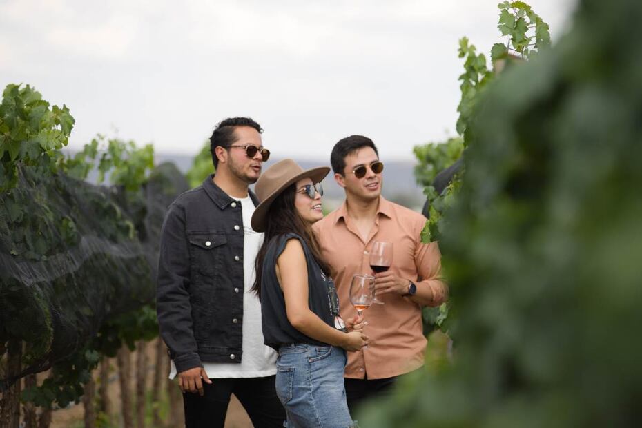 5 fiestas de la vendimia imperdibles para amantes del vino