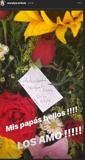 Así festejaron los hijos de Luis Miguel a su mamá Aracely Arámbula 