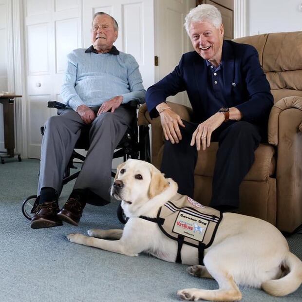 Las fotos más tiernas de Sully, el perro de George Bush padre
