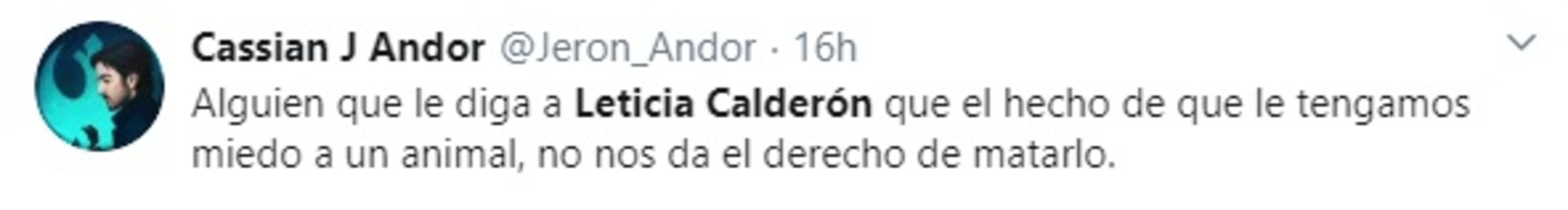 "Si veo un gato en periférico, lo atropello": Leticia Calderón y su fobia a los gatos