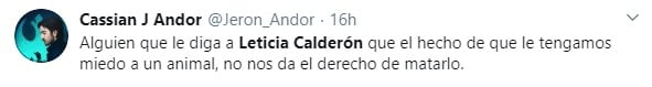 "Si veo un gato en periférico, lo atropello": Leticia Calderón y su fobia a los gatos