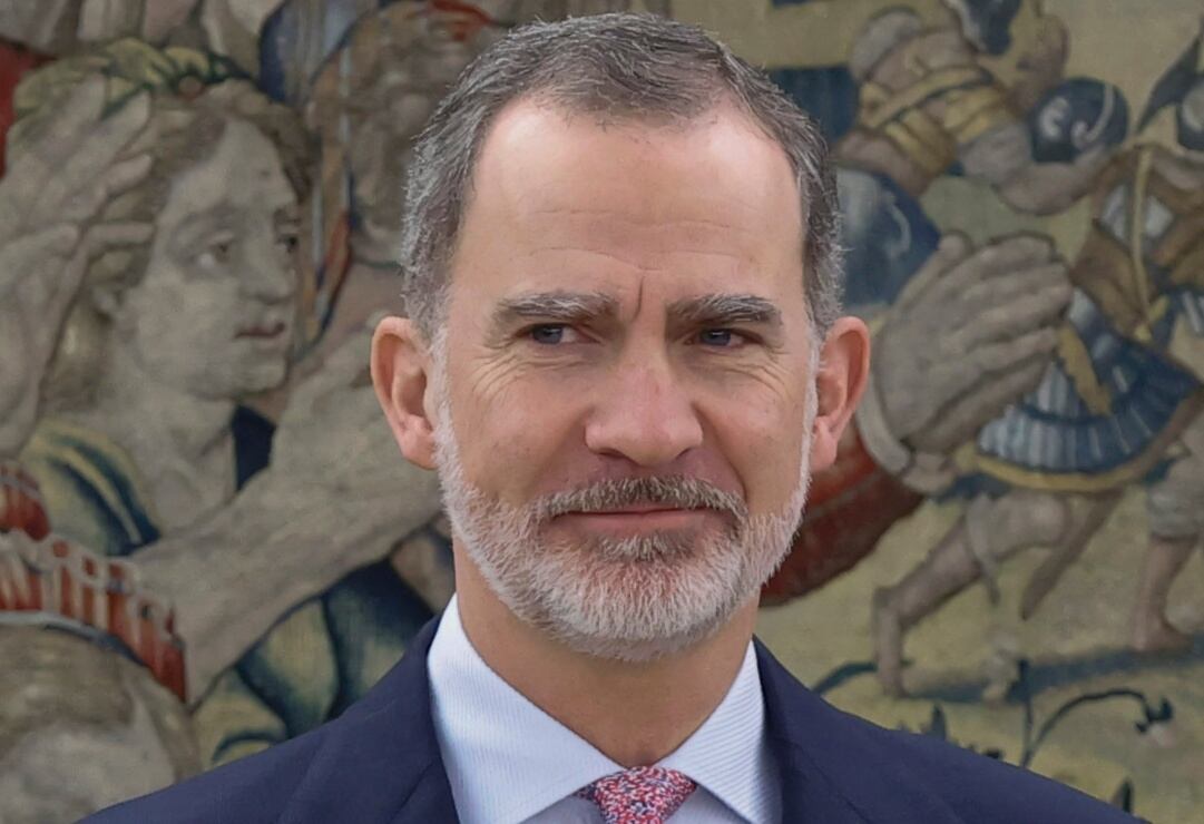 Los secretos del rey Felipe VI de España son revelados en un libro