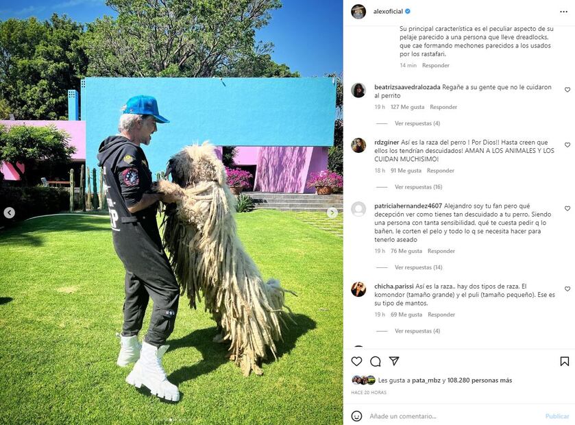 Critican a Alejandro Fernández por el aspecto de su perro, "Cómo tiene ese animal así"