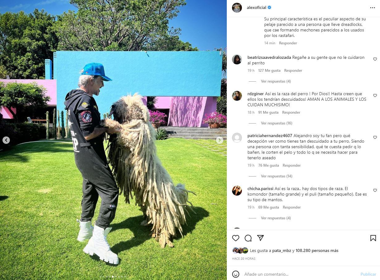Critican a Alejandro Fernández por el aspecto de su perro, "Cómo tiene ese animal así"