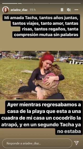 Ariadne Díaz y su enorme dolor por la muerte de su perro que fue devorado por un cocodrilo 