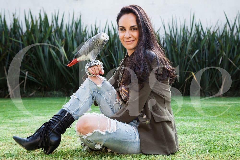 Las 5 mascotas más adorables de 2018