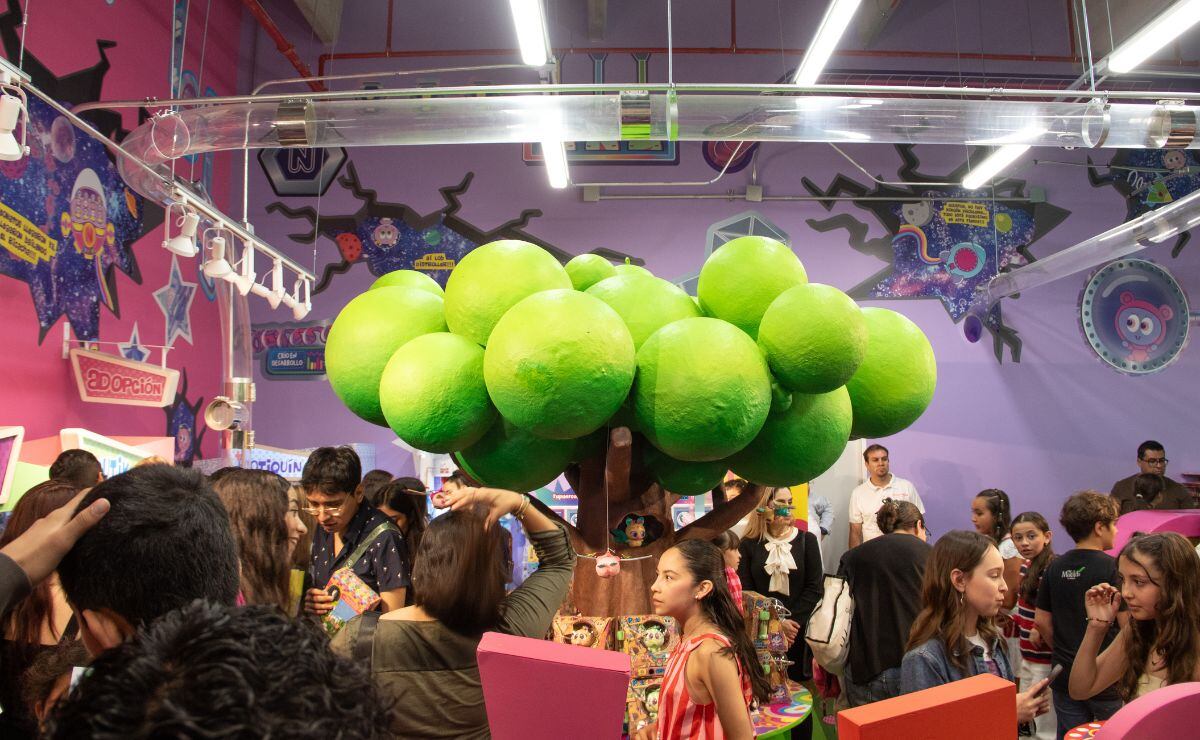 La nueva pop-up de Distroller. (Foto: Angélica Chema)