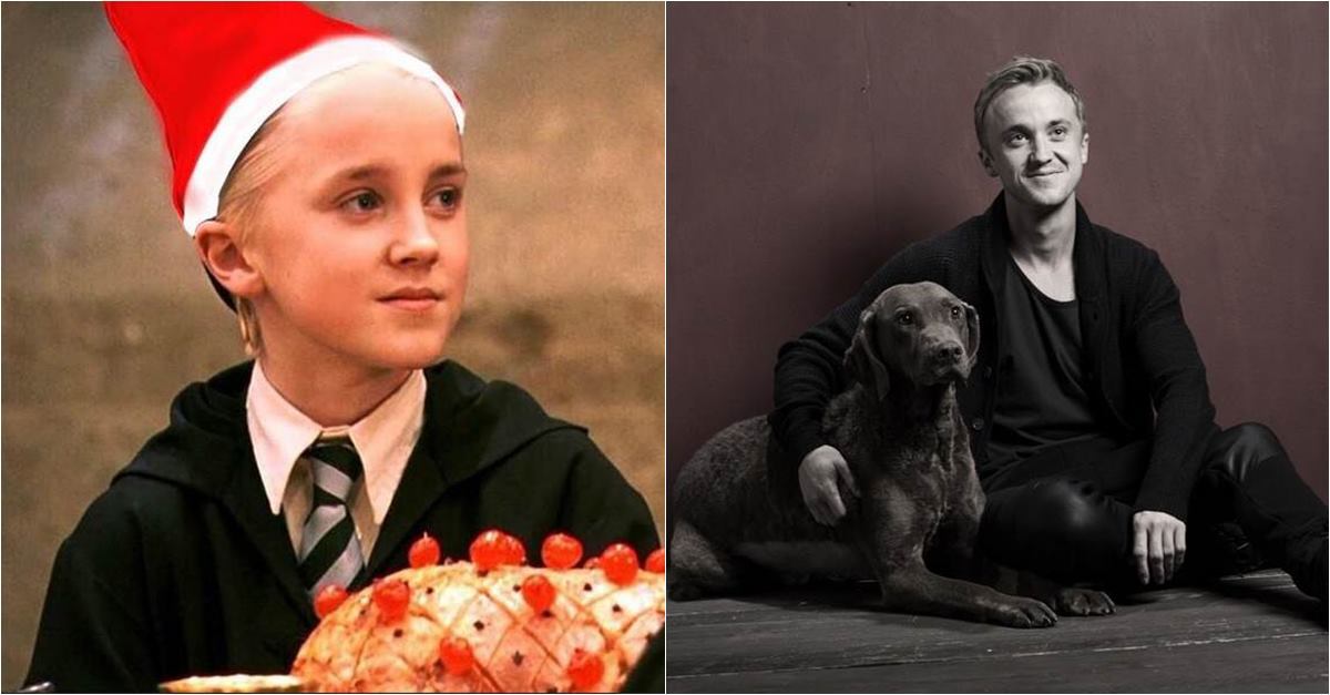 Harry Potter: Cómo han cambiado los personajes a 20 años del estreno