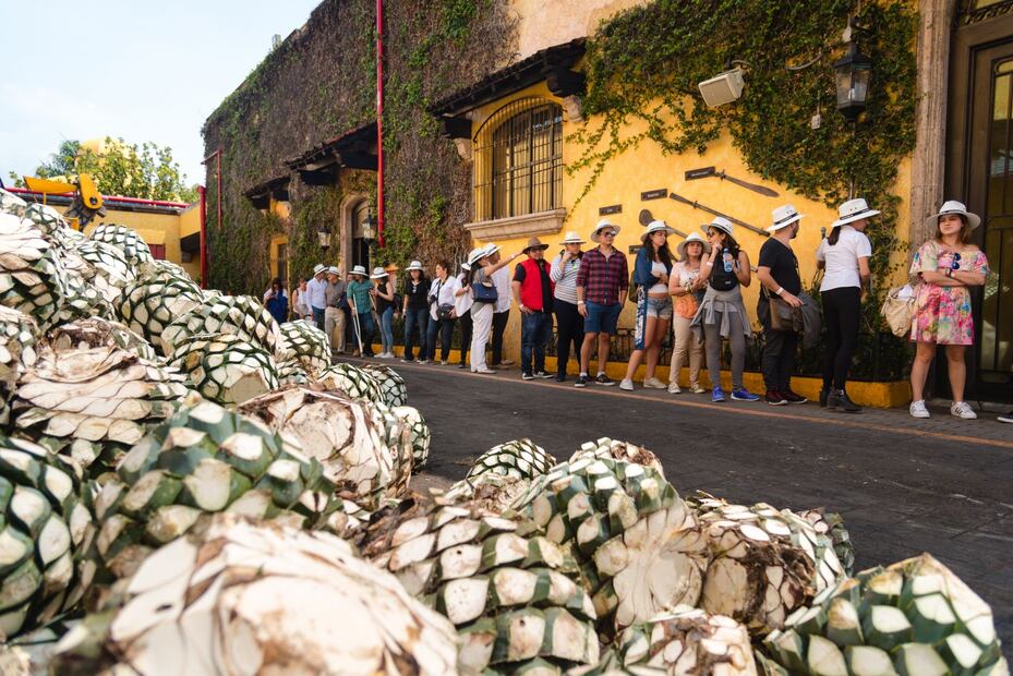 24 horas en: Tequila, pueblo mágico