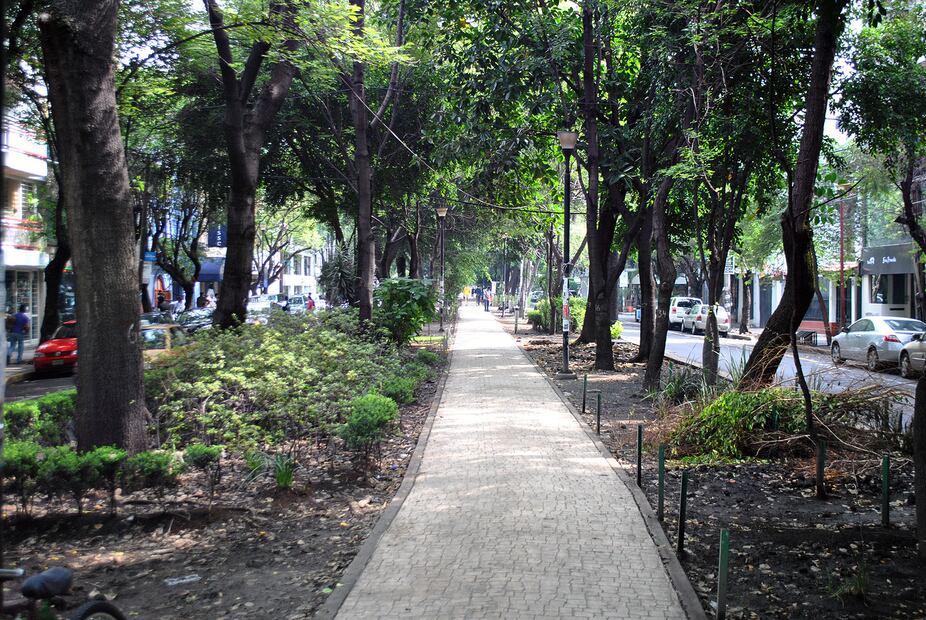 Las calles más exclusivas (y caras) para vivir en la CDMX