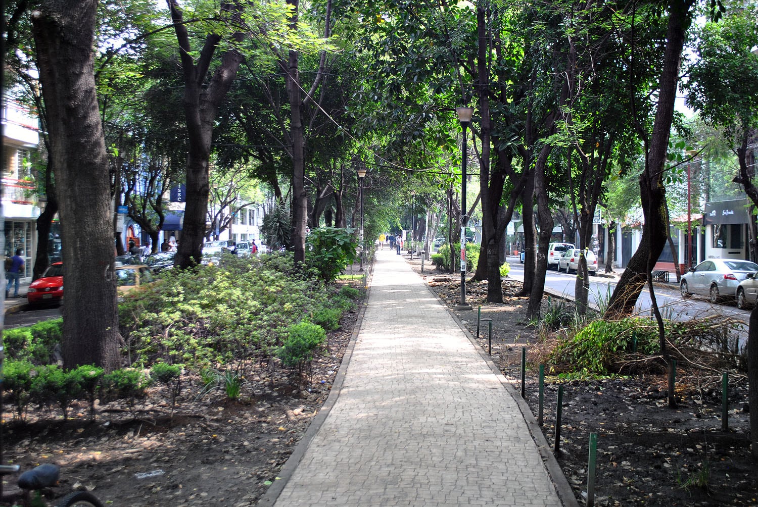 Las calles más exclusivas (y caras) para vivir en la CDMX