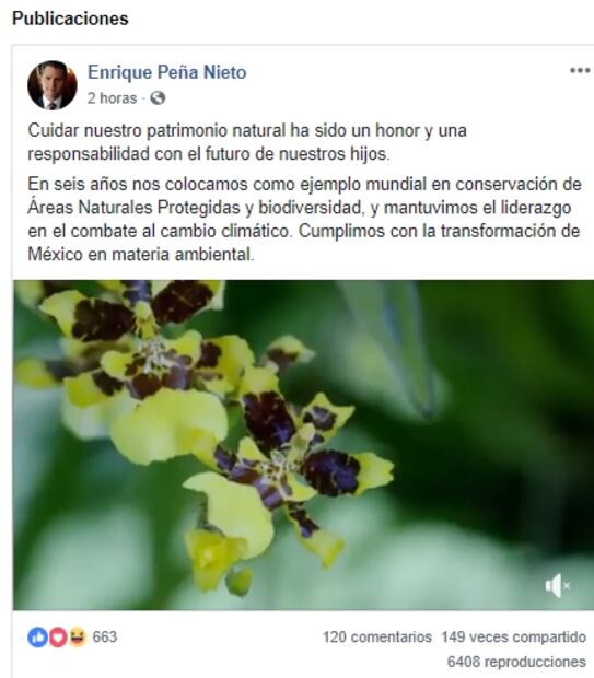 Angélica Rivera y Enrique Peña cumplieron 8 años de casados y no hubo felicitación en redes sociales