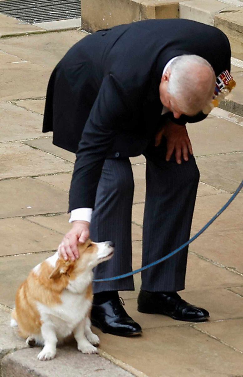Andrés de York, de royal senior a peseador de perros en jefe