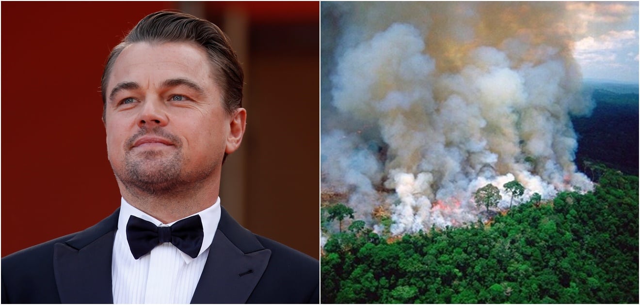 Leonardo DiCaprio y otros famosos que piden ayuda para el Amazonas... con fotos falsas