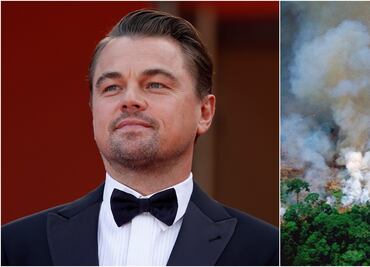 Leonardo DiCaprio y otros famosos que piden ayuda para el Amazonas... con fotos falsas