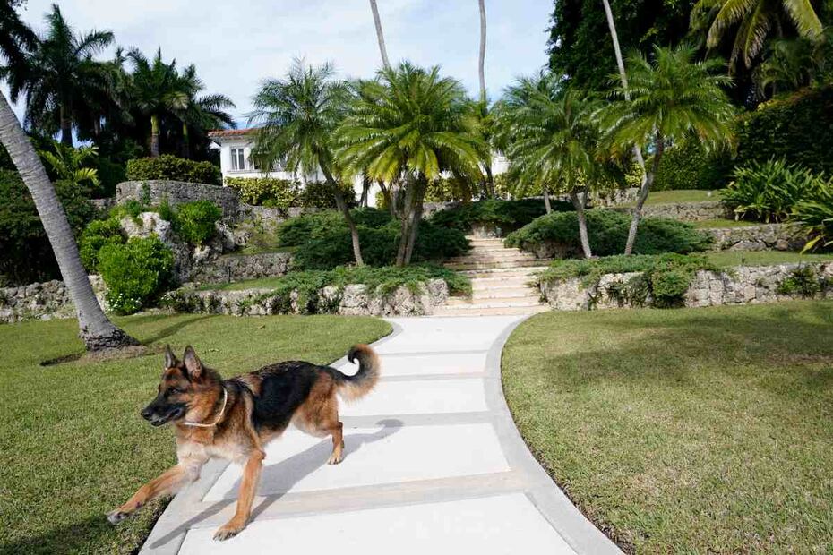 Gunther VI, un perro heredero de 500 mdd, vende mansión que fue de Madonna