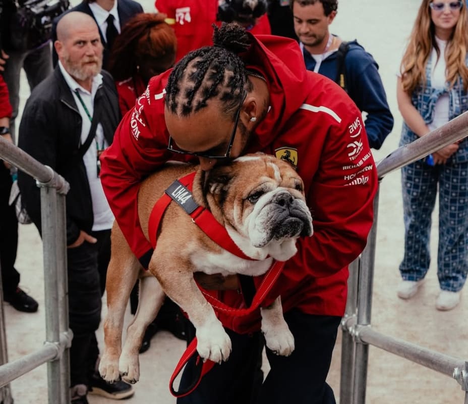 Lewis Hamilton y Roscoe, su perrito bulldog / Foto: Instagram