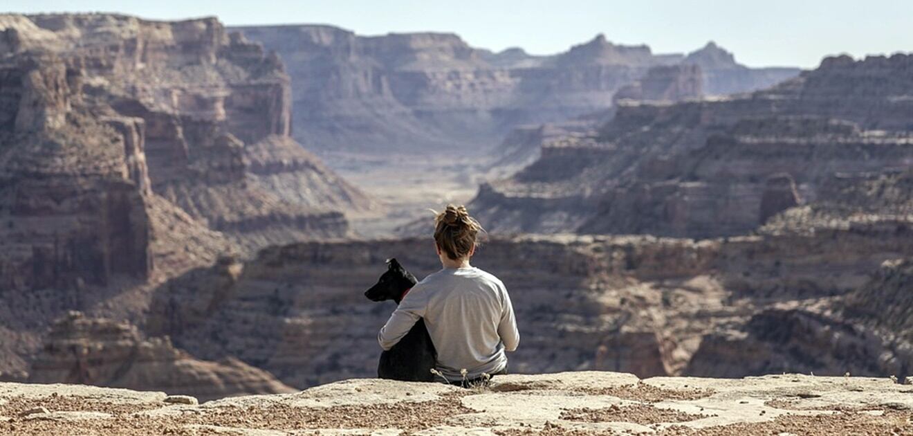 ¿Adoptarías una mascota?