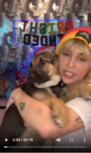 Miley Cyrus adopta perro abandonado en crisis del coronavirus