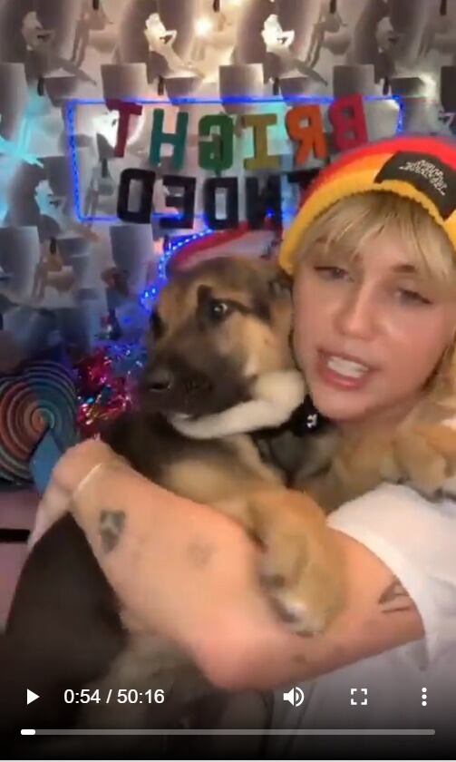 Miley Cyrus adopta perro abandonado en crisis del coronavirus