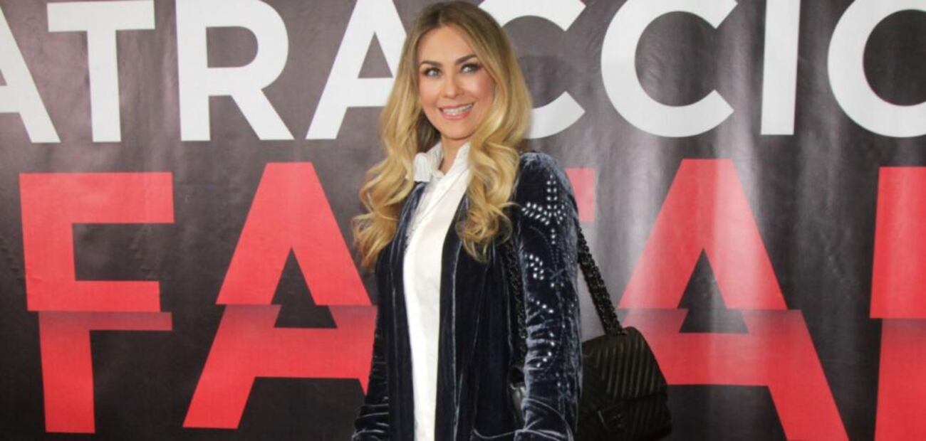 Revelan que Ricky Martin le 'quitó' un novio a Aracely Arámbula 