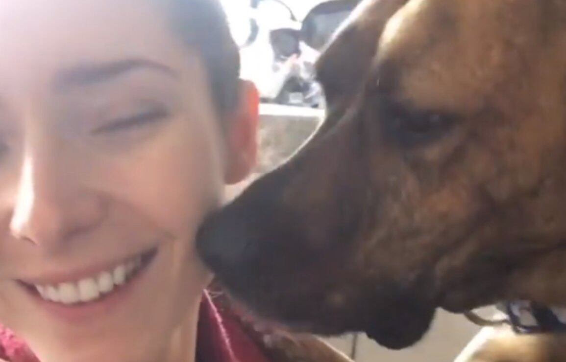 Ariadne Díaz y su enorme dolor por la muerte de su perro que fue devorado por un cocodrilo 