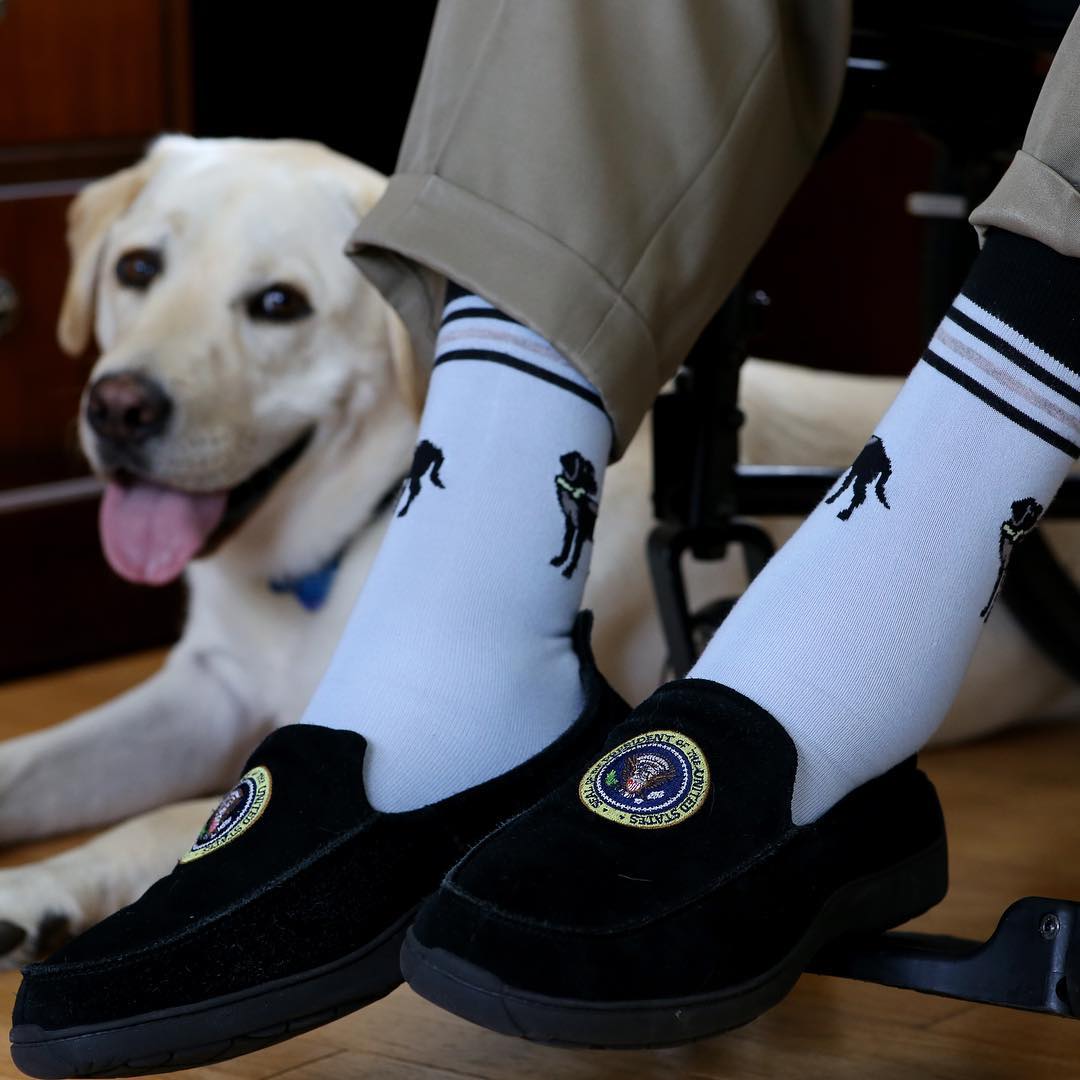 Las fotos más tiernas de Sully, el perro de George Bush padre
