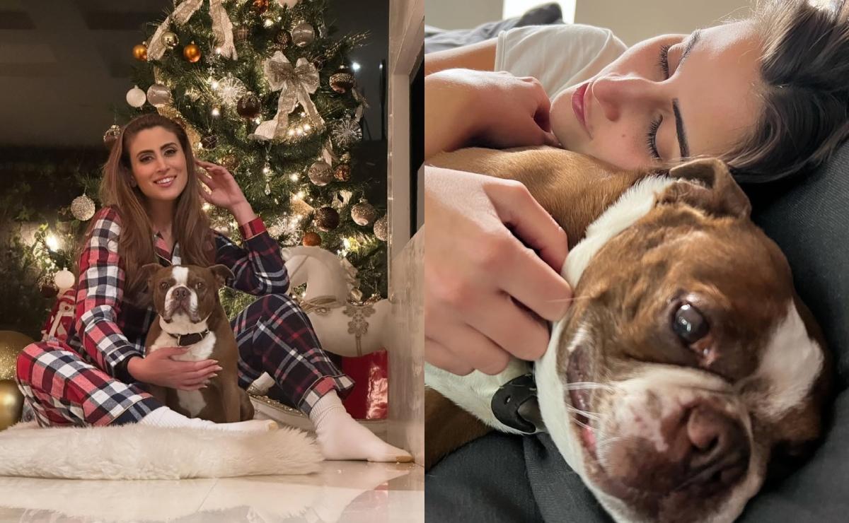 Sofía Rivera Torres junto a su perrito Goyo / Foto: Instagram @sofiariveratorres