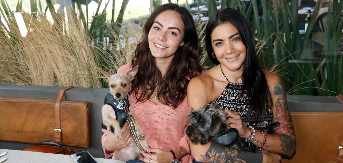 Recaudan fondos para rescatar perros abandonados 